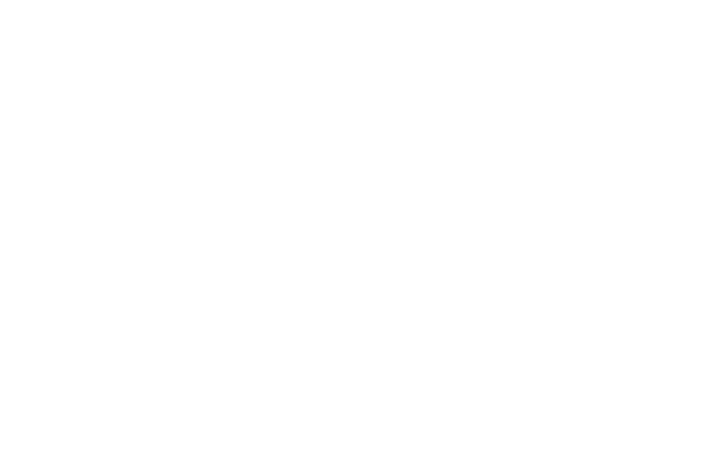 Jones-Woolfolk Insurance Agency - Logo 800 White